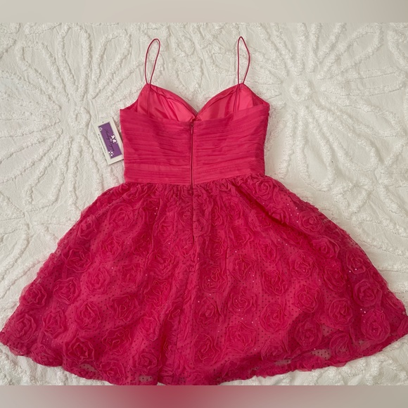 NWT Sparkly Pink Semi-Formal Dress - Picture 4 of 10